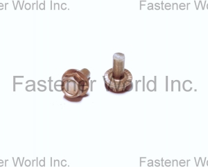 Hexagon Washer Head Screws(TONG HO SHING INTERNATIONAL CO., LTD.)