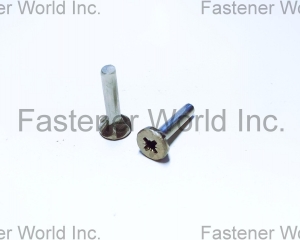 Pozidrive screws(TONG HO SHING INTERNATIONAL CO., LTD.)