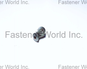 fastener-world(桐和興實業有限公司 )