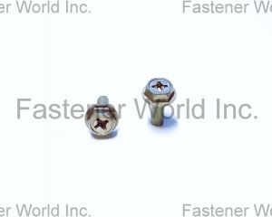 fastener-world(TONG HO SHING INTERNATIONAL CO., LTD. )