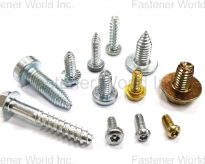 Thread Forming Screw/ Triangular Thread Screw(冠鑫贸易股份有限公司 )