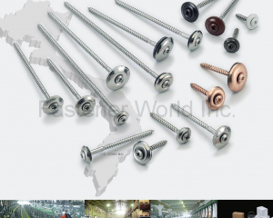 Stainless Steel Screws,Spengler Screws assembled with washer (Total 2 parts or 3 parts),TX20 6-lobe Mushroom Head Chipboard Screws,Self Drilling Screws,Spengler Screws with head painted RAL color,Machine Screws,Deck Screws (Coarse thread Screws),Collated Screws (Makita, Senco, Hitachi),Tapping Screws,Chipboard Screws,ISO7380 ∕ ISO7380-2 ∕ DIN7991 ∕ DIN6921,DIN571 ∕ DIN933 ∕ DIN603,DIN912 ∕ DIN6912,Triangle Thread Screws Hi-Lo Thread Screws,Screws for Plastic,Special screws,Security Screws,SEMS Screws (Screws with captive washer),Small Size Screws,Various Small Packages(HEADER PLAN CO. INC. )