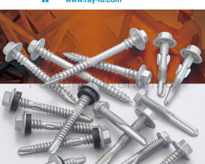 fastener-world_RAY FU ENTERPRISE CO., LTD.  fastener-world(RAY FU ENTERPRISE CO., LTD. )