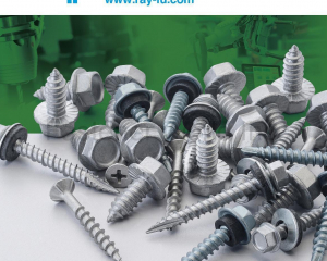 Ruspert coated screw(RAY FU ENTERPRISE CO., LTD.)