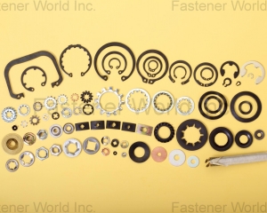 fastener-world(SHOU LONG PRECISION INDUSTRIAL CO., LTD. (GIANT LONG) )