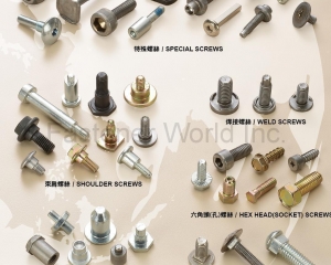 Special Screws, Weld Screws, Shoulder Screws, Hex Head (Socket) Screws, Rivets, Carriage Screws(LONG YU FASTENERS INDUSTRIAL CO., LTD.)