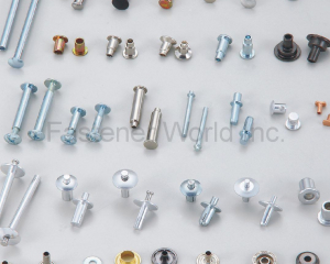 Rivet, Nail, Wahser(AMPLE LONG INDUSTRY CO., LTD.)