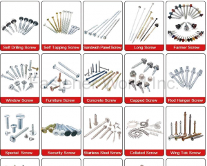 Self Drilling Screw,Self Tapping Screw,Sandwich Panel Screw,Long Screw,Farmer Screw,Window Screw,Furniture Screw,Concrete Screw,Capped Screw,Rod Hanger Screw,Special Screw,Security Screw,Stainless Steel Screw,Collated Screw,Wing Tek Screw,Drywall Screw,Chipboard Screw,Decking Screw,Eye Lag Screw,Garage Screw(YOUR CHOICE FASTENERS & TOOLS CO., LTD. )