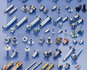 fastener-world_AMPLE LONG INDUSTRY CO., LTD.  fastener-world(AMPLE LONG INDUSTRY CO., LTD. )