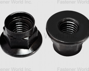 HEX FLANGE NYLON NUT(COPA FLANGE FASTENERS CORP.)