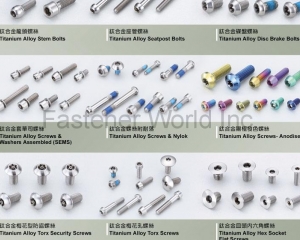 fastener-world(GA-E Industrial Precision Co., Ltd. )