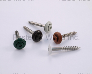 HEAD PAINTED SCREW(A-PLUS SCREWS INC.)