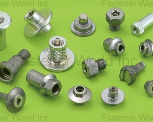 fastener-world(JIN-YINGS ENTERPRISE CO., LTD. )