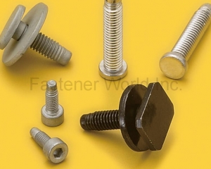fastener-world(WAYWORLD FASTECH CORPORATION )