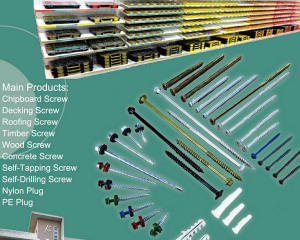 fastener-world_DAR YU ENTERPRISE CO., LTD. fastener-world(DAR YU ENTERPRISE CO., LTD. )