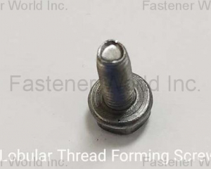 fastener-world(SHANG PENG CO., LTD. )