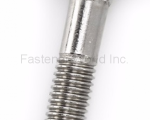 Stainless Steel 316 Carriage Bolt with Mashroom Head and Square Neck DIN603 (2)(YUYAO AKF FASTENERS CO., LTD.)