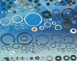 fastener-world(SHOU LONG PRECISION INDUSTRIAL CO., LTD. (GIANT LONG) )