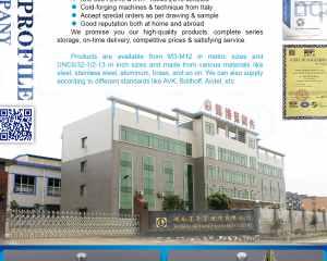 fastener-world(HUNAN LIANGANG FASTENERS CO., LTD. )