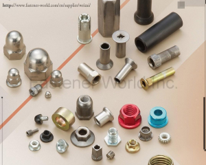 SPECIAL NUT, T NUT, AUTO MOTIVE NUT, BIKE NUT, CAP NUT, ANCHOR NUT(WEI ZAI INDUSTRY CO., LTD. )