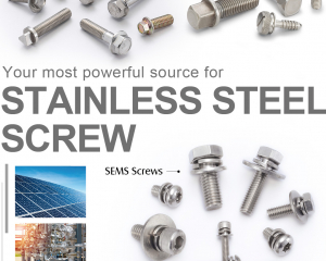 Flange Bolts, Security Bolt, Stainless Steel Screw, SEMS Screws(WINLINK FASTENERS CO., LTD. )