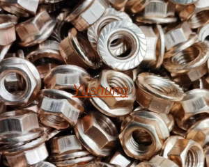 Bronze washers silicon bronze flat washers(Chongqing Yushung Non-Ferrous Metals Co., Ltd.)