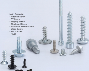 fastener-world(DE XIN METAL CO., LTD. )