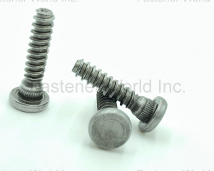 fastener-world(JI LI DENG FASTENERS CO., LTD. )