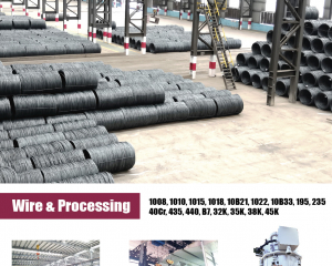 fastener-world(IWASHI TECHNOLOGY LIMITED )