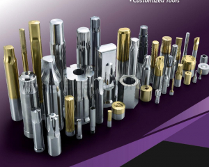Punches, Pins, Sleeves, Dies, Carbide Punches, Non-standard Punches, Customized Tools(SHENG LONG INDUSTRY CO.)