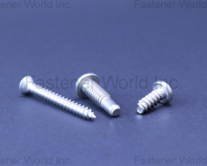 fastener-world(A-STAINLESS INTERNATIONAL CO., LTD. )