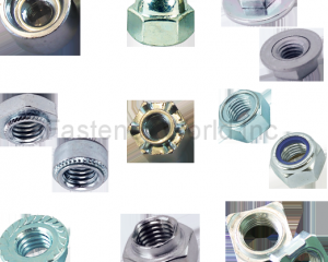 Nut and Bushing Series: BUSHING AND TUBE, WELD NUT, INSERT NUT AND CLINCH NUT, DOME CAP NUT AND ACORN NUT, SPECIAL NUTS AND OEM NUTS(All Accomplishment International Corp.)