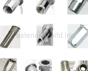 Rivet Nut Series: ROUND HEAD RIVET NUT, SPLIT LEGS RIVET NUT, HEX BODY RIVET NUT(All Accomplishment International Corp.)