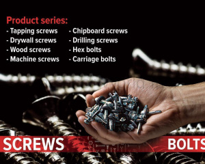 Tapping Screws, Chipboard Screws, Drywall Screws, Drilling Screws, Wood Screws, Hex Bolts, Machine Screws, Carriage Bolts(EGYPT BOLT FOR METAL INDUSTRIES)