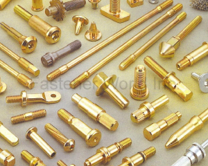 Screw & Bolt- Hexagon Head,Screw & Bolt- Hex. Flange,Drill Screw,CUSTOMIZED BOLT,CUSTOMIZED FASTENER,Bolt-Socket Button Head,Screw-Torx,Socket Hex. Bolt,Countersunk Head Bolt,Nut with Washer (Romated),NUT,Cap Nut,WASHER,Pin(HOLD RICH INTERNATIONAL CO., LTD. )