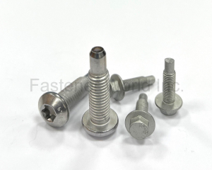 Automotive Screws 汽車用螺絲(Tina Fastener Co., Ltd.)