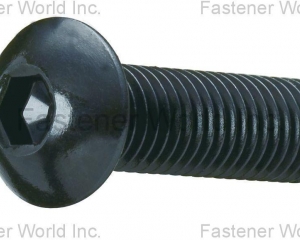 SOCKET  BUTTON HEAD CAP SCREWS(MAUDLE INDUSTRIAL CO., LTD. )