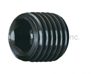 SOCKET SET  SCREWS(MAUDLE INDUSTRIAL CO., LTD. )