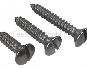 Stainless Steel Flat Slotted Head Self Tapping Screw(余姚奧可飛緊固件有限公司)