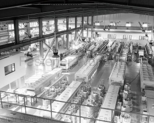 fastener-world_TSIN YING METAL INDUSTRY CO., LTD, fastener-world(TSIN YING METAL INDUSTRY CO., LTD, )