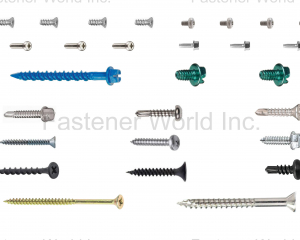 fastener-world_SHANGHAI SCREWTOOL INDUSTRIAL CO., LTD. fastener-world(SHANGHAI SCREWTOOL INDUSTRIAL CO., LTD. )