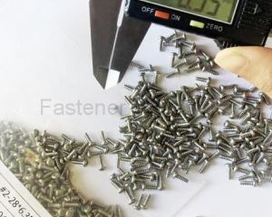 Minature Screws(SHANGHAI SCREWTOOL INDUSTRIAL CO., LTD.)