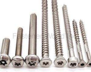 fastener-world(JIAXING HAINA FASTENER CO., LTD. )