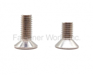 fastener-world(JIAXING HAINA FASTENER CO., LTD. )