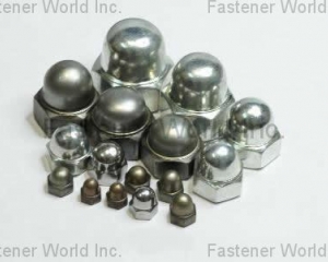 fastener-world(SHANGHAI QIANGYI FASTENER CO., LTD.  )