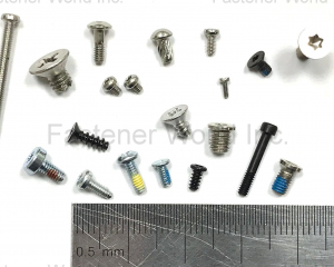 Micro Screws(ABLY SCREW LTD.)