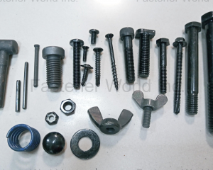 fastener-world(ALISHAN INTERNATIONAL GROUP CO., LTD. )