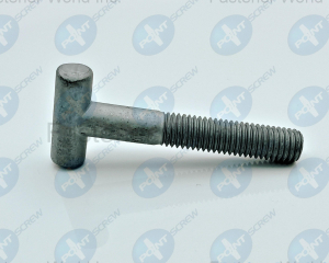 fastener-world(POINT SCREW ENTERPRISE CO., LTD. )