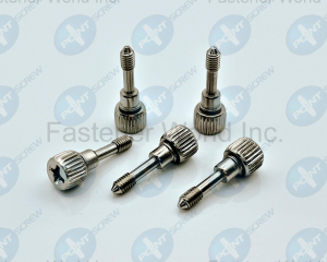 fastener-world(POINT SCREW ENTERPRISE CO., LTD. )