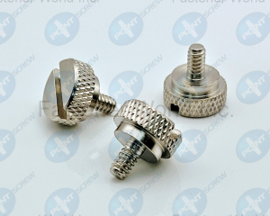 fastener-world(POINT SCREW ENTERPRISE CO., LTD. )